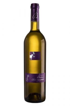 Un ange passe Blanc Château Balsamine