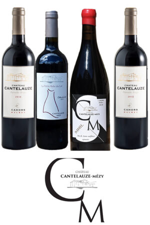 Château Cantelauze Mézy Lot - Panachage
